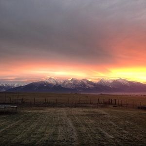 Meet your Posher, Rose